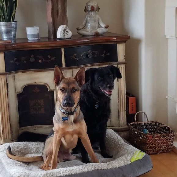 Meet your Posher, Louise - Picture 1 of 1